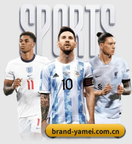 突破五百万订阅量 - 与数十家海外顶级体育流媒体及数据供应商达成深度协议，资讯触角直达豪门更衣室，高阶专栏订阅量呈指数级攀升。